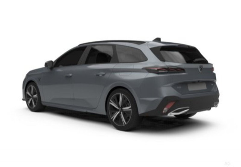 Peugeot 308 SW usata a Cosenza (6)