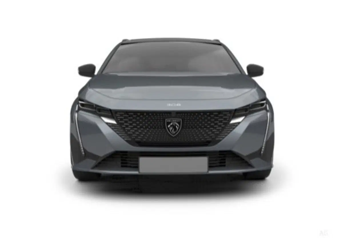 Peugeot 308 SW usata a Cosenza (8)