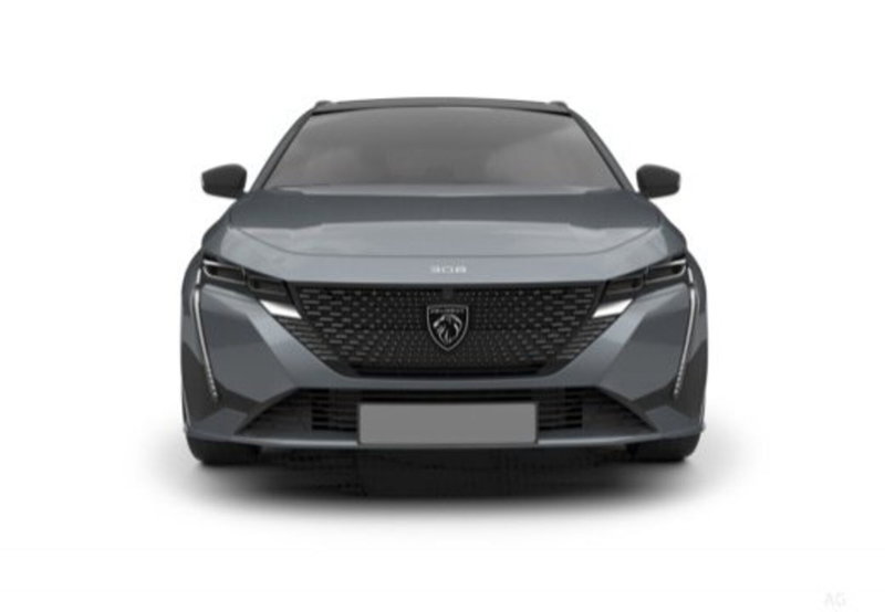 Peugeot 308 SW usata a Cosenza (8)