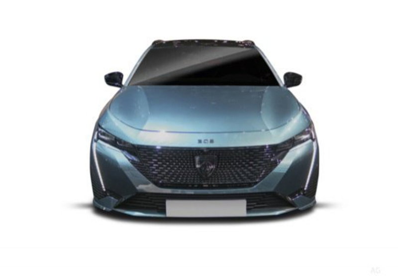 Peugeot 308 SW usata a Cosenza (9)