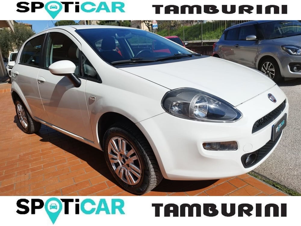 Fiat Punto usata a Arezzo