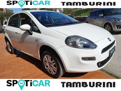 Fiat Punto 1.4 8V 5 porte Natural Power Lounge del 2014 usata a Cortona
