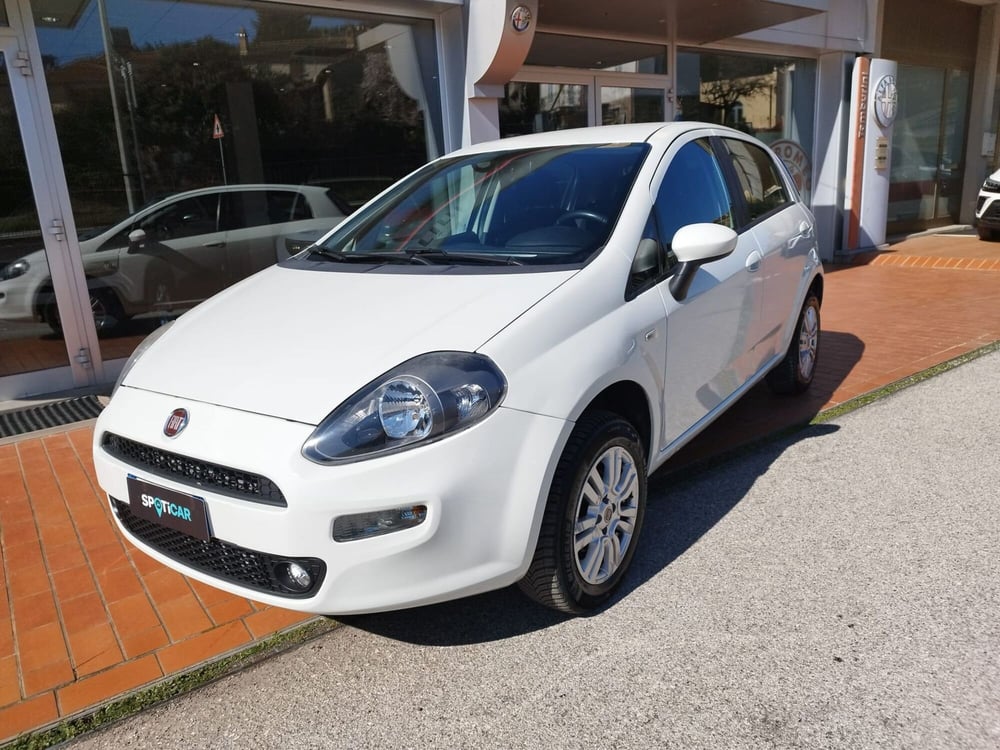 Fiat Punto usata a Arezzo (2)