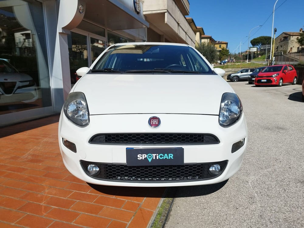 Fiat Punto usata a Arezzo (3)