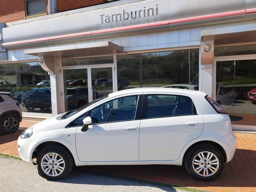 Fiat Punto usata a Arezzo (4)