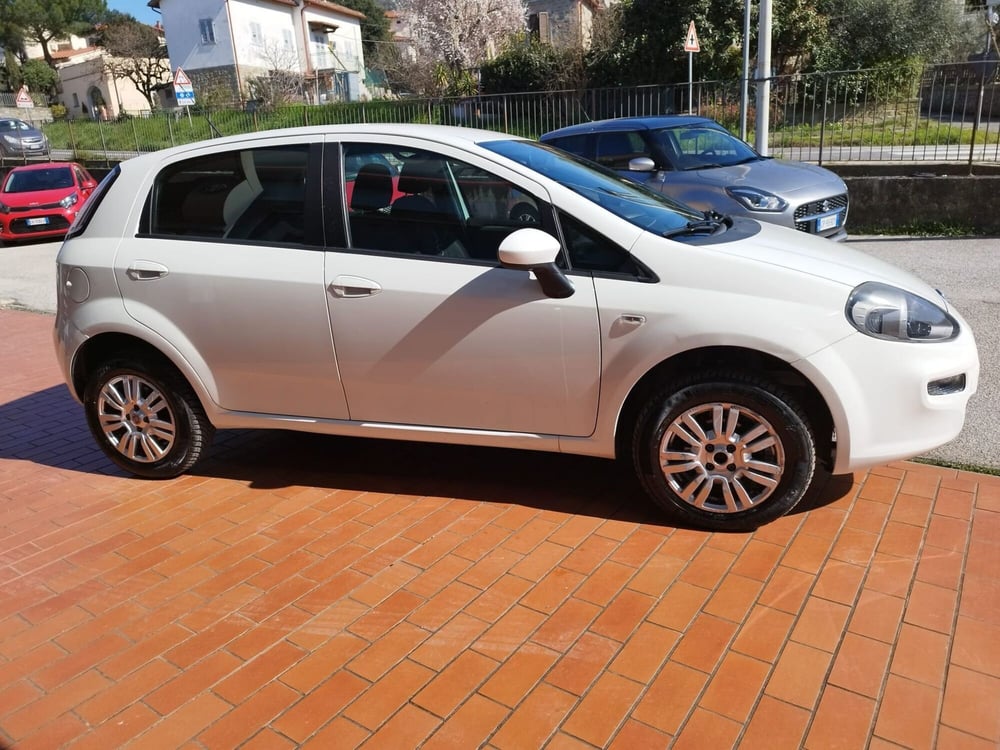 Fiat Punto usata a Arezzo (5)