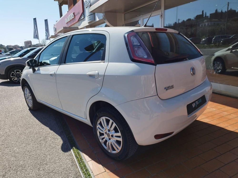 Fiat Punto usata a Arezzo (7)
