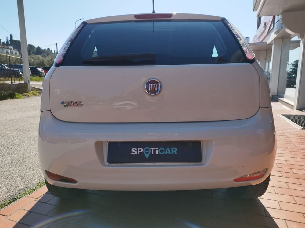 Fiat Punto usata a Arezzo (8)