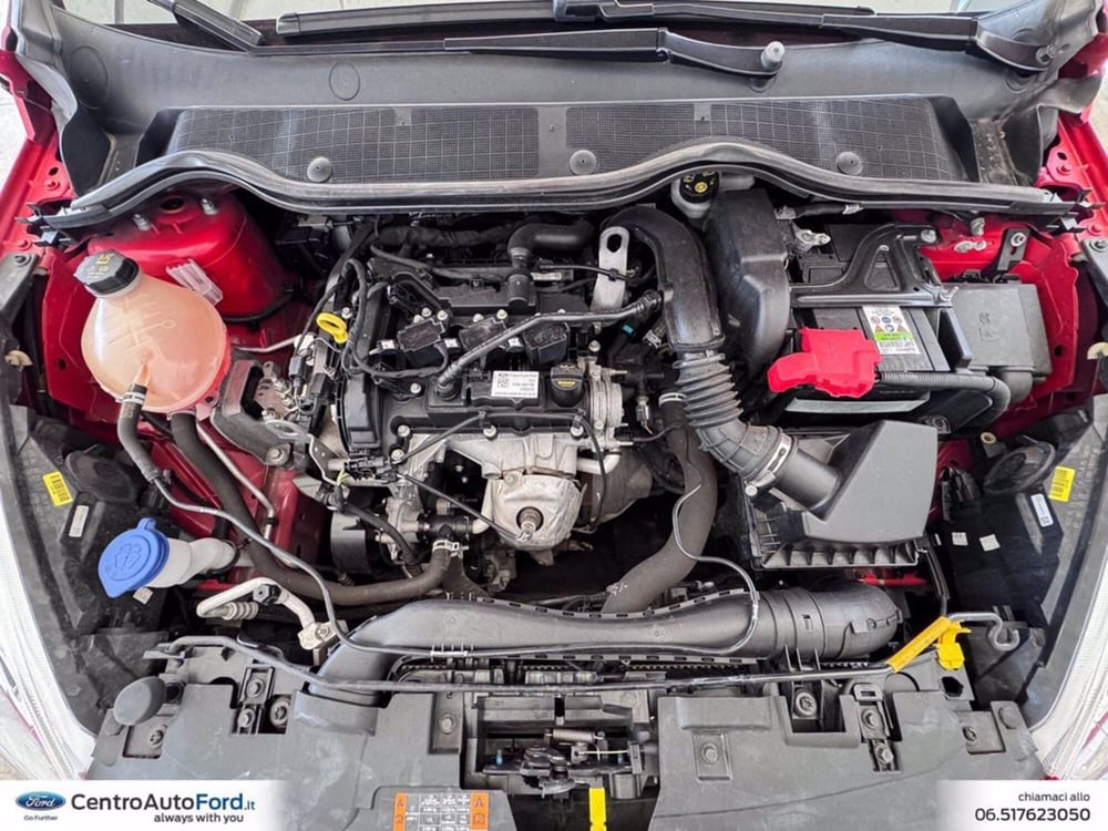 Ford Fiesta usata a Roma (12)