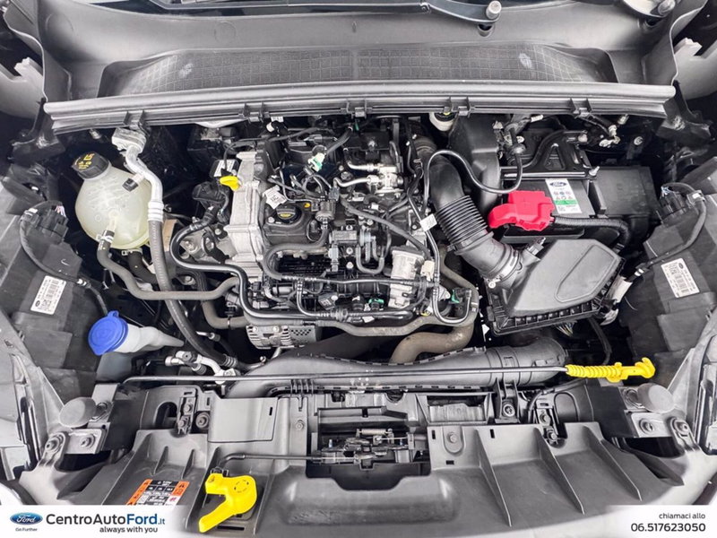 Ford Puma usata a Roma (12)