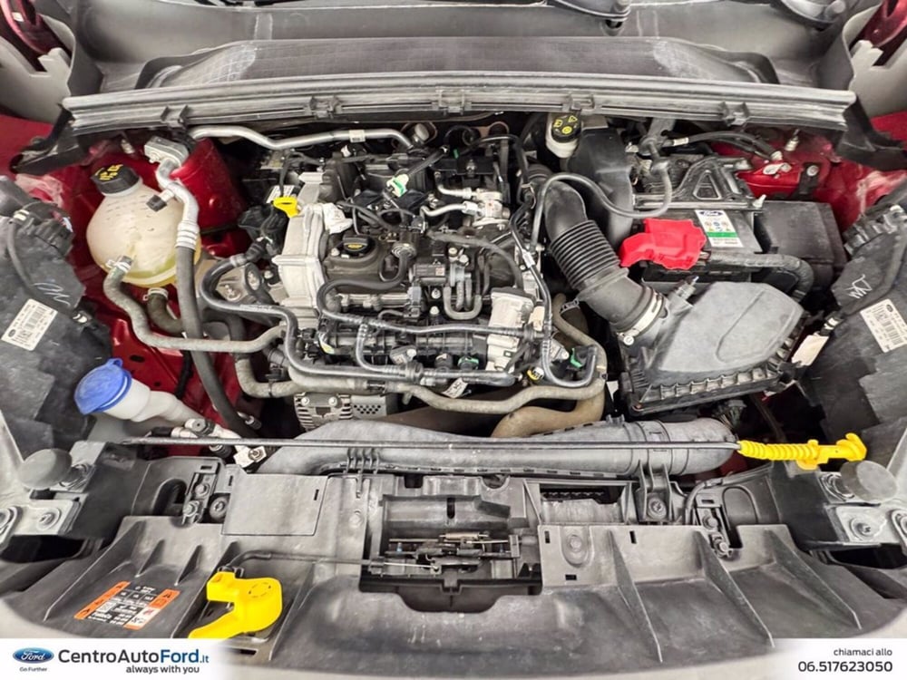 Ford Puma usata a Roma (12)