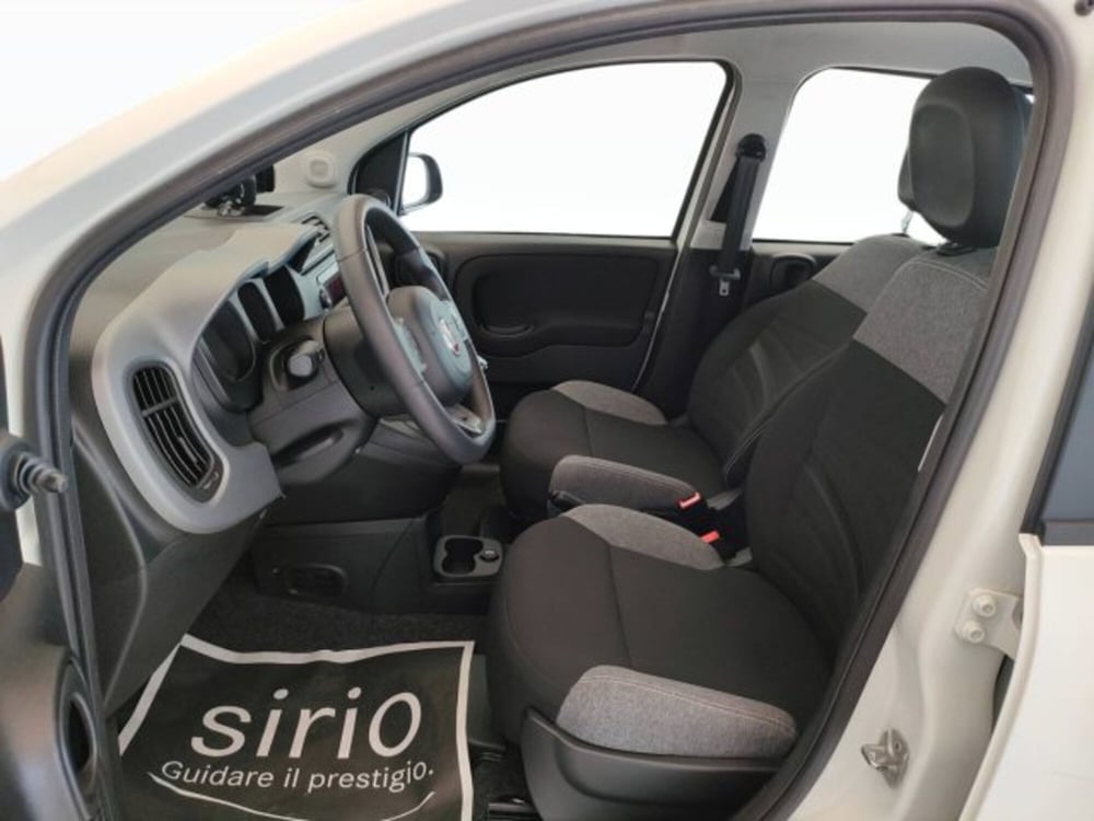 Fiat Panda usata a Teramo (13)