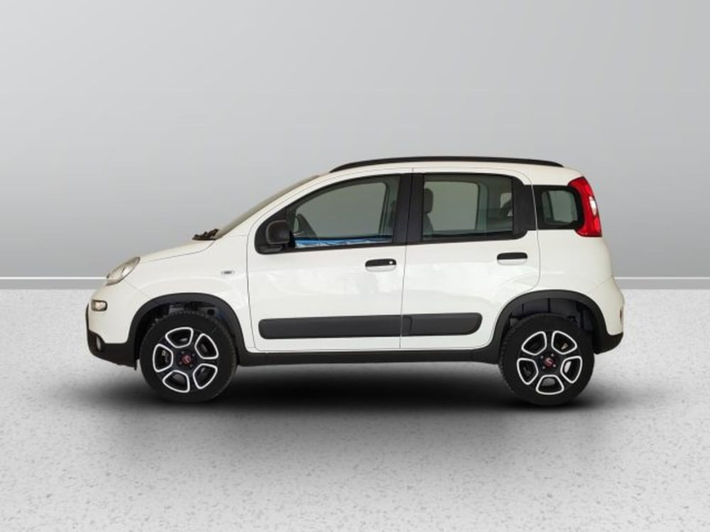 Fiat Panda usata a Teramo (3)