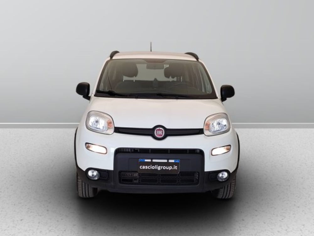 Fiat Panda usata a Teramo (2)
