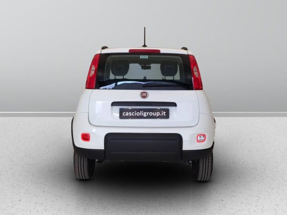Fiat Panda usata a Teramo (4)