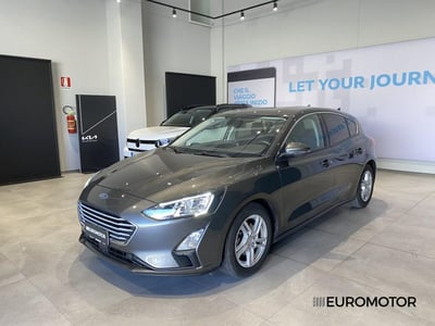 Ford Focus 1.5 EcoBlue 95 CV 5p. Business del 2019 usata a Modugno