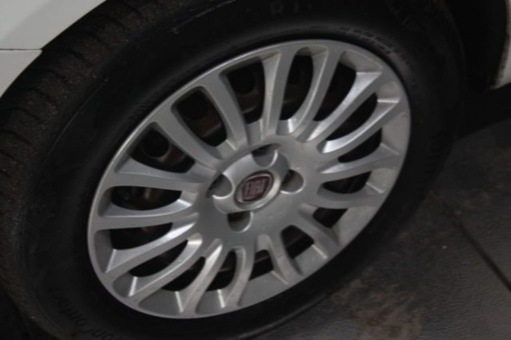 Fiat Punto usata a Viterbo (4)