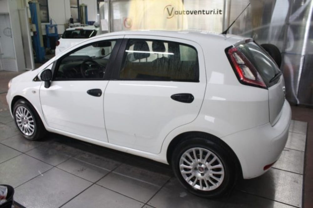 Fiat Punto usata a Viterbo (5)