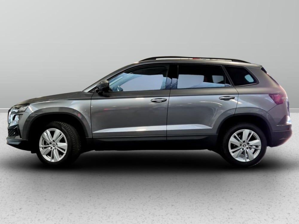 Skoda Karoq usata a Padova (2)