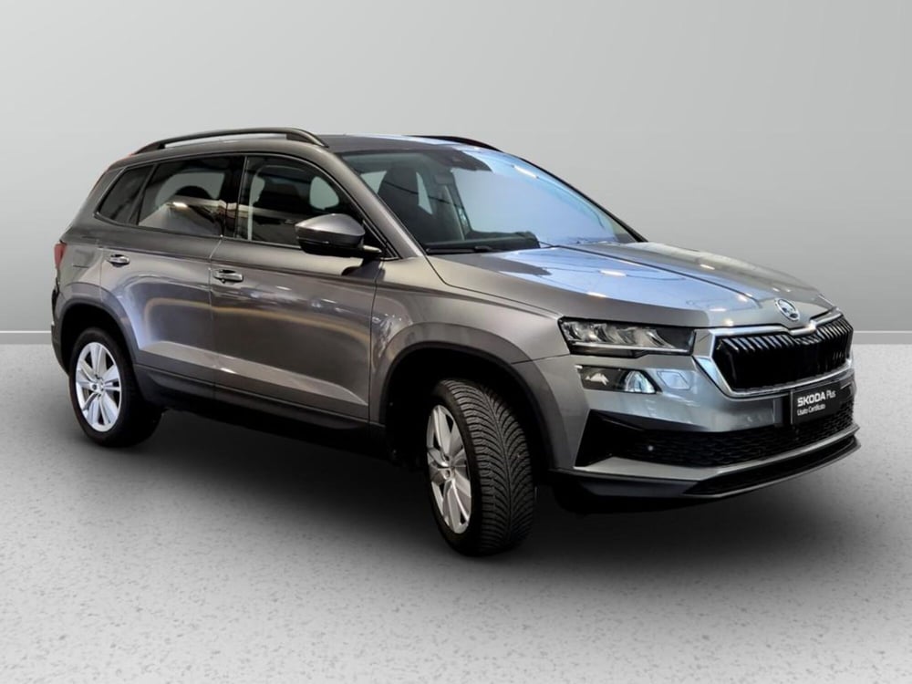 Skoda Karoq usata a Padova (6)