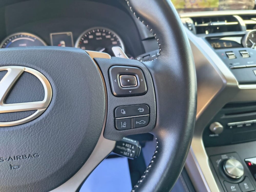 Lexus NX usata a Firenze (10)