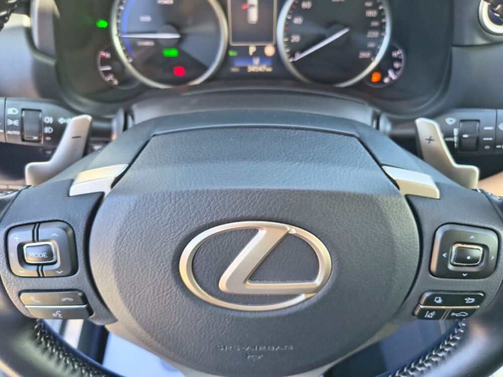 Lexus NX usata a Firenze (11)
