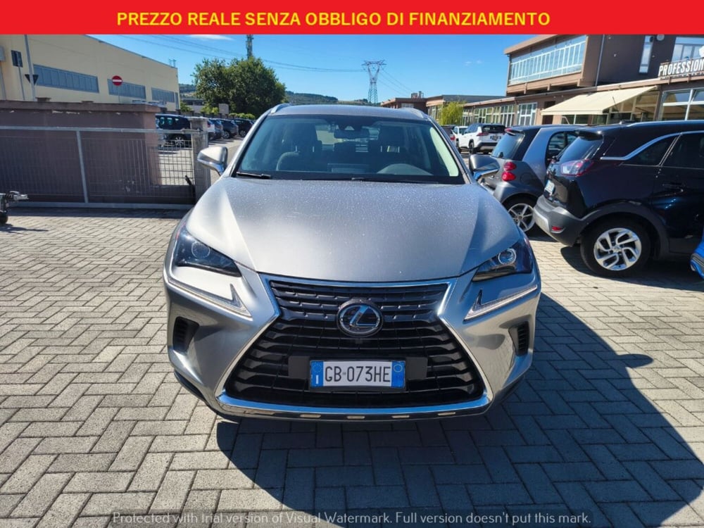 Lexus NX usata a Firenze (2)