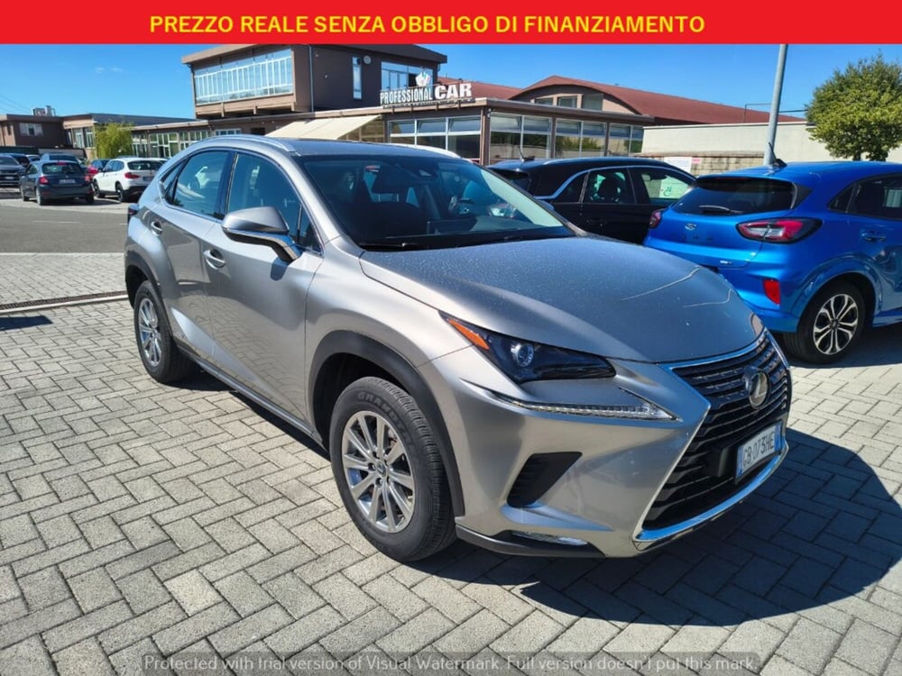 Lexus NX usata a Firenze (3)