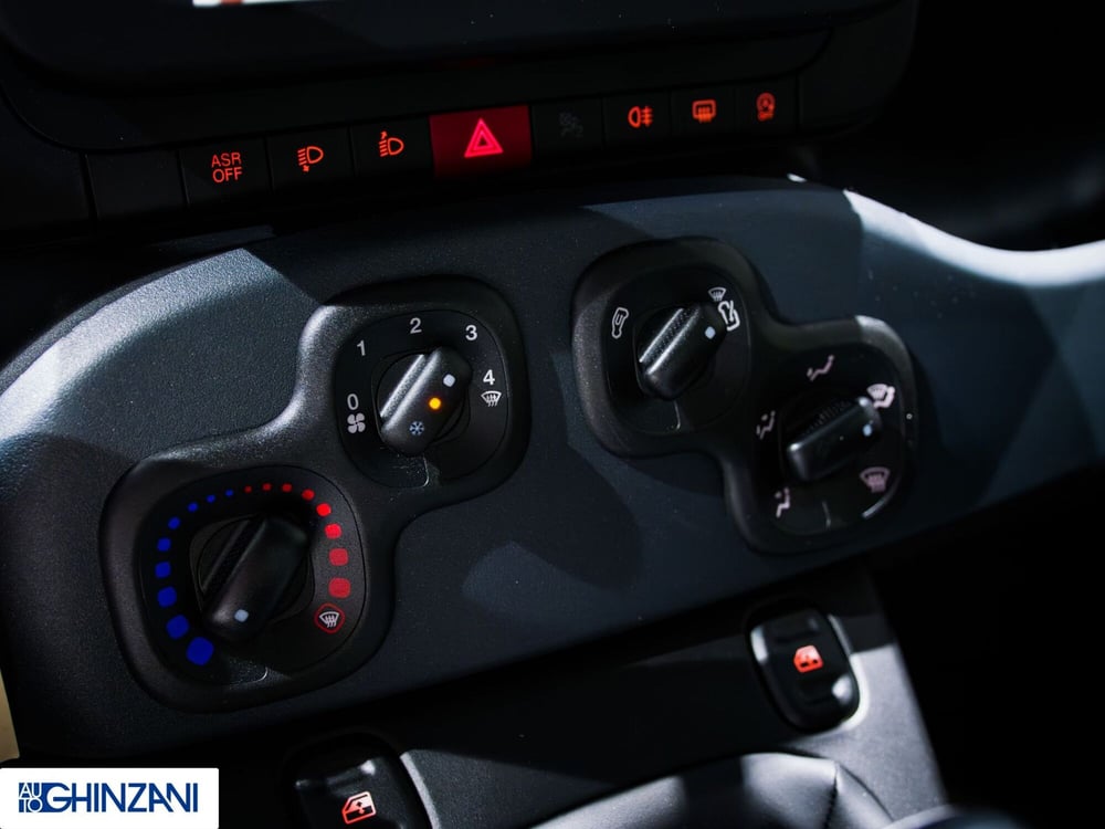 Fiat Panda Cross nuova a Bergamo (15)