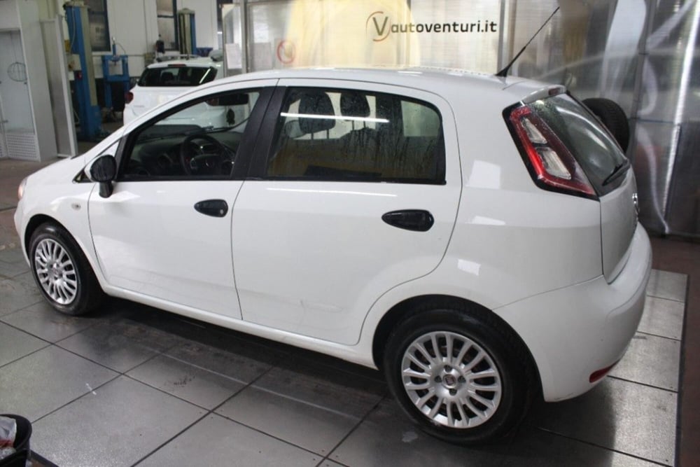Fiat Punto usata a Viterbo (5)