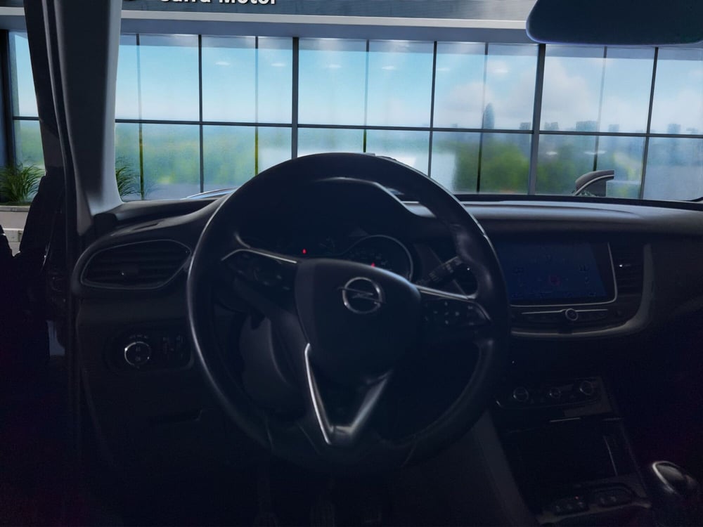 Opel Grandland X usata a Cosenza (10)