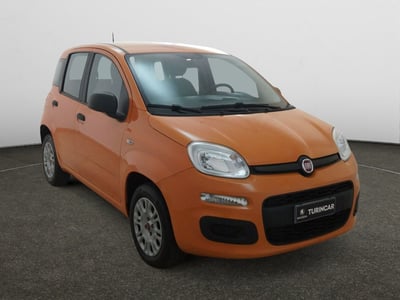 Fiat Panda 1.2 Easy del 2020 usata a Torino