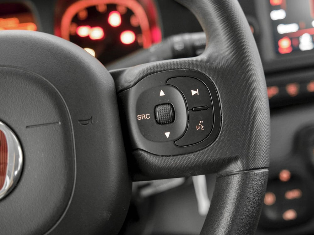 Fiat Panda Cross usata a Prato (10)