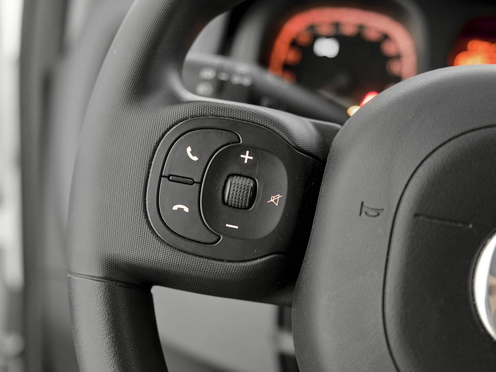 Fiat Panda Cross usata a Prato (9)