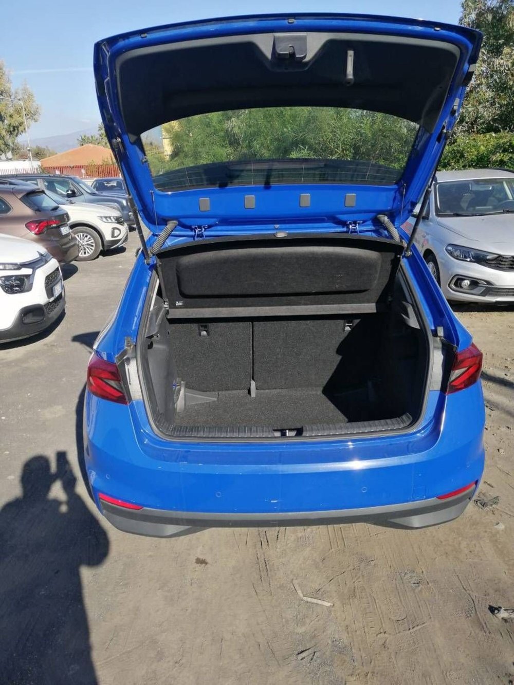 Skoda Fabia usata a Salerno (11)