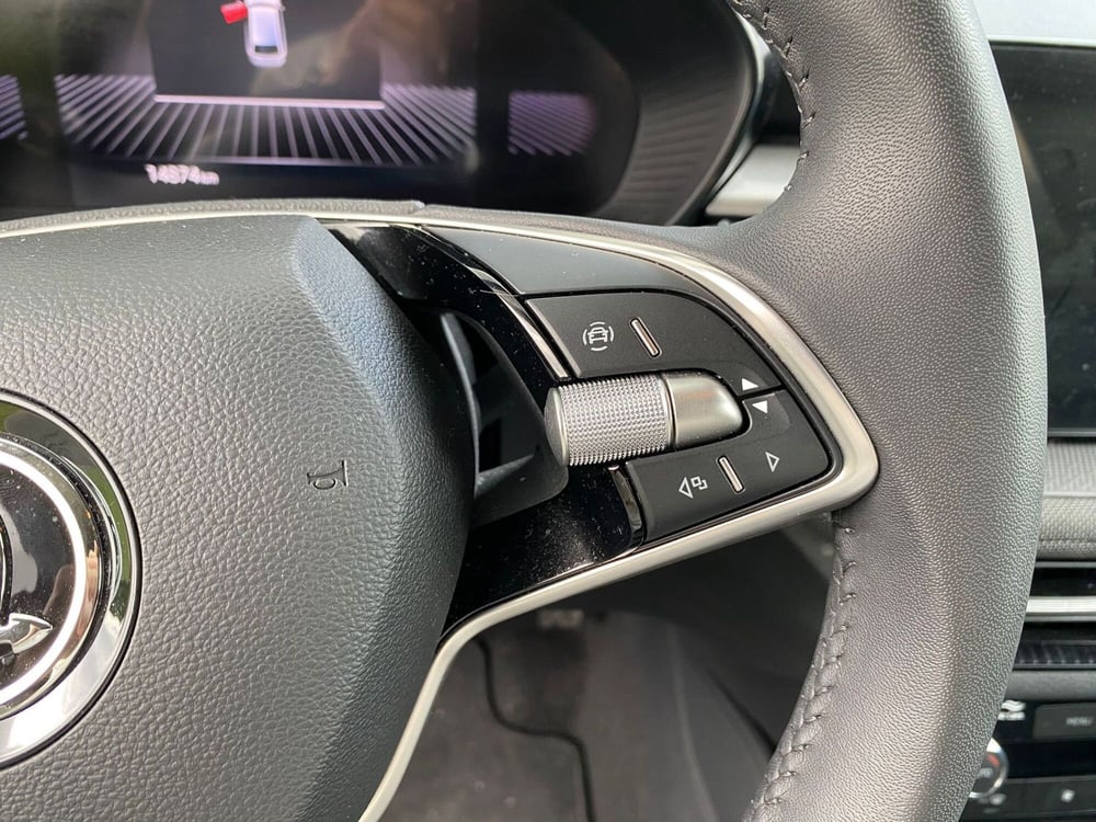 Skoda Fabia usata a Salerno (20)