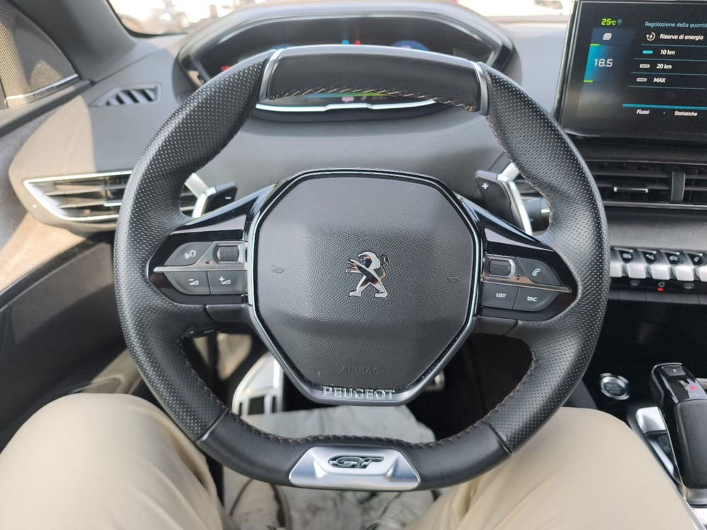 Peugeot 3008 usata a Frosinone (19)