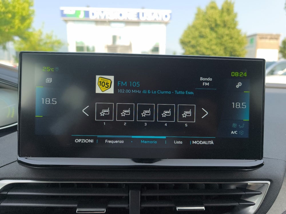Peugeot 3008 usata a Frosinone (20)