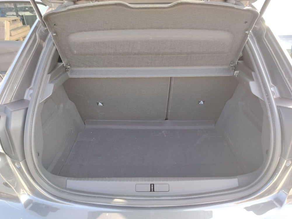 Peugeot 208 usata a Massa-Carrara (10)