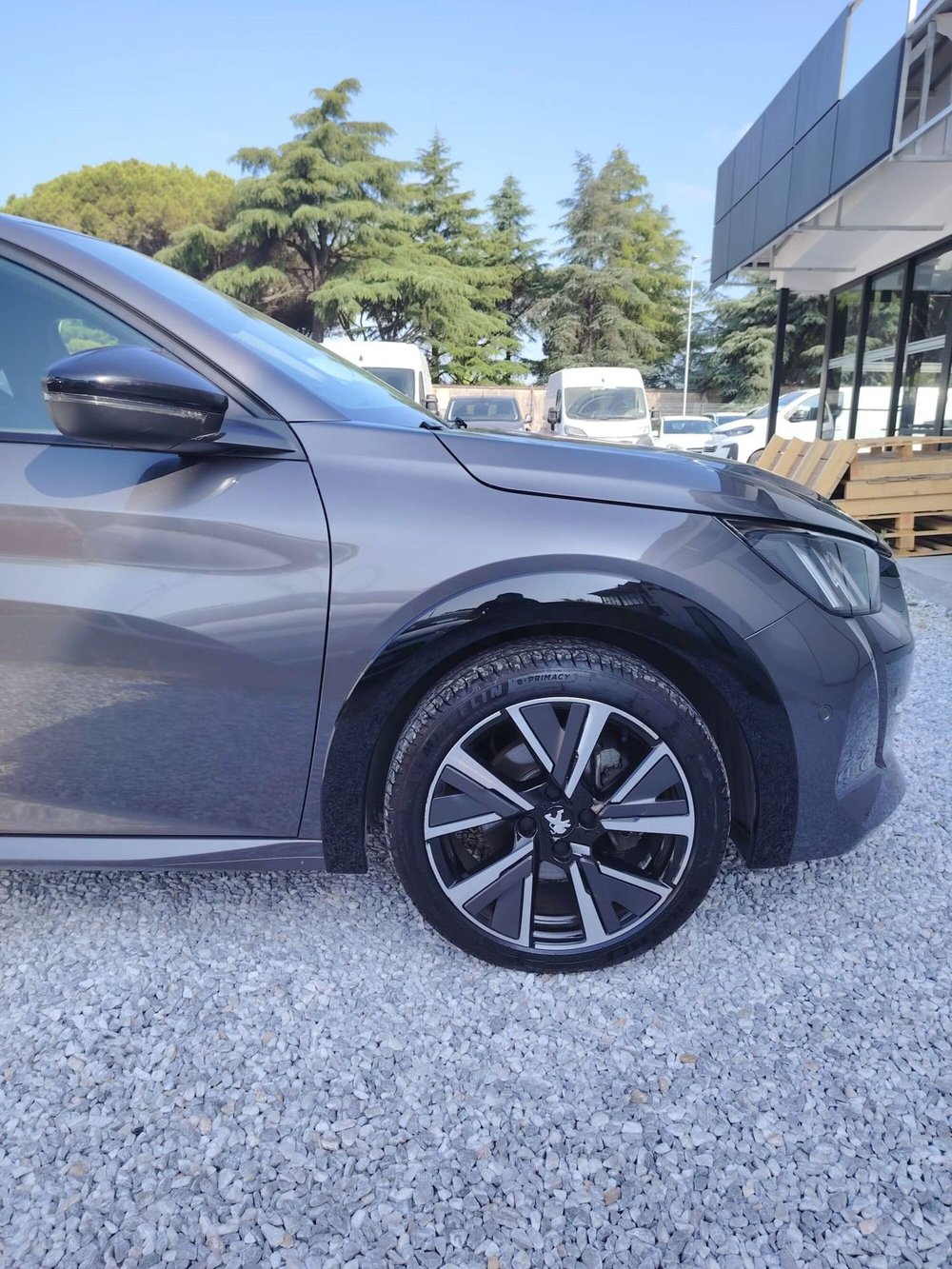 Peugeot 208 usata a Massa-Carrara (14)