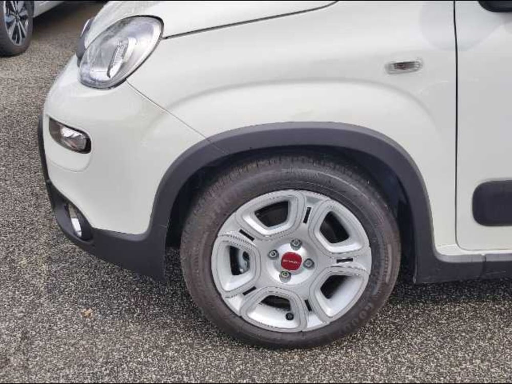 Fiat Panda usata a Roma (15)
