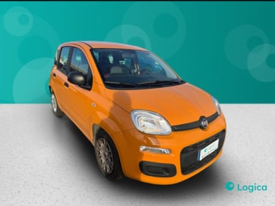 Fiat Panda 1.0 firefly hybrid s&amp;s 70cv 5p.ti del 2021 usata a Biella