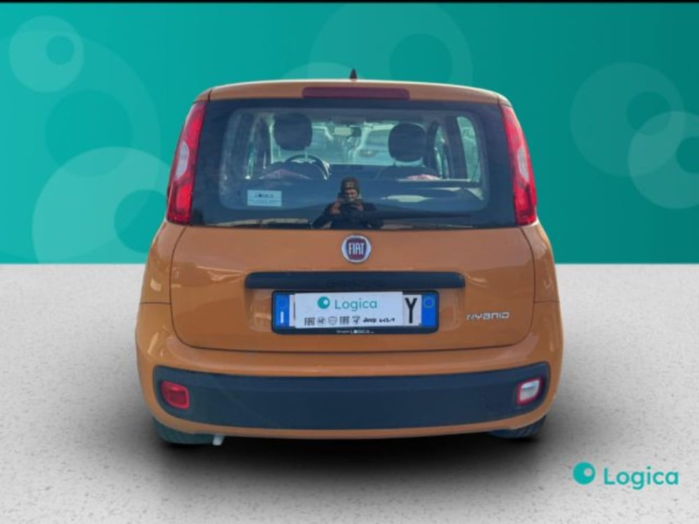 Fiat Panda usata a Biella (11)