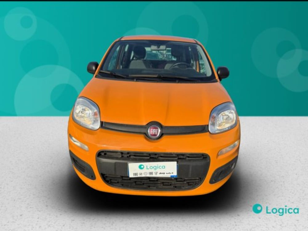 Fiat Panda usata a Biella (2)