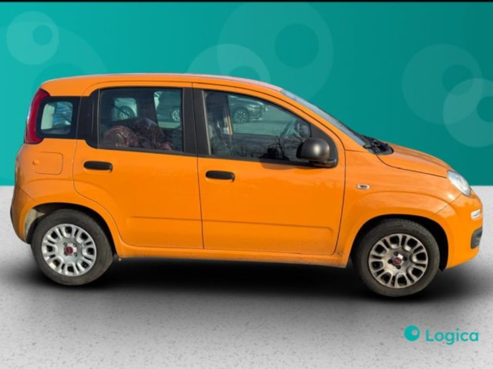 Fiat Panda usata a Biella (9)