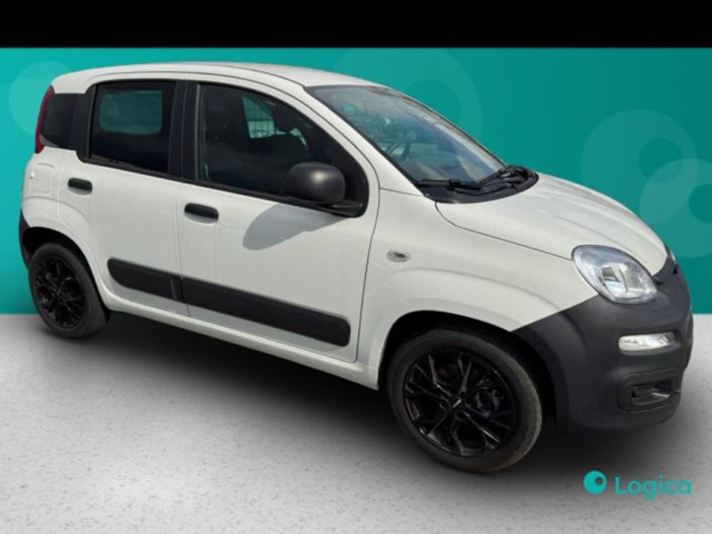 Fiat Panda usata a Biella (5)