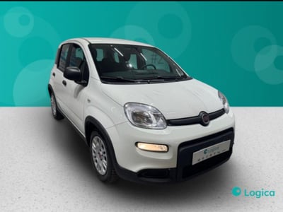 Fiat Panda 1.0 firefly hybrid s&amp;s 70cv 5p.ti del 2023 usata a Biella