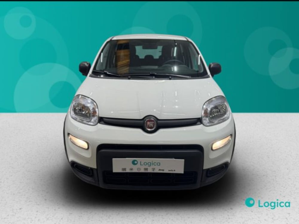 Fiat Panda usata a Biella (2)