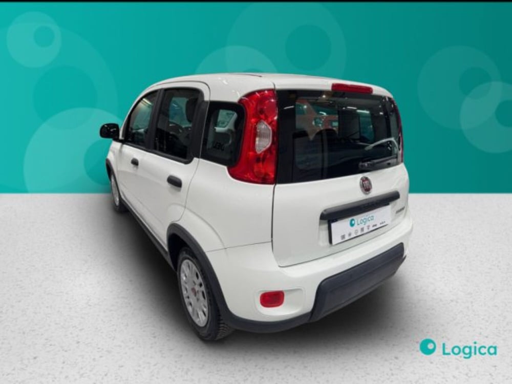 Fiat Panda usata a Biella (3)