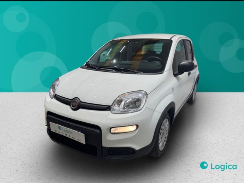 Fiat Panda usata a Biella (5)